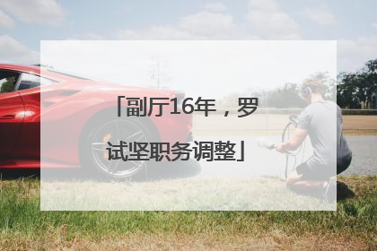 副厅16年，罗试坚职务调整