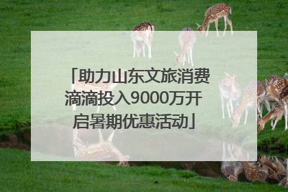 助力山东文旅消费 滴滴投入9000万开启暑期优惠活动