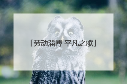 劳动淄博 平凡之歌