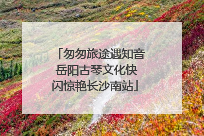 匆匆旅途遇知音 岳阳古琴文化快闪惊艳长沙南站
