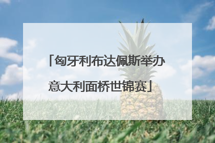 匈牙利布达佩斯举办意大利面桥世锦赛
