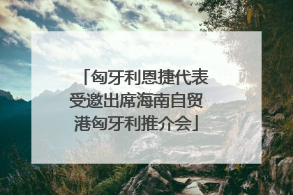 匈牙利恩捷代表受邀出席海南自贸港匈牙利推介会