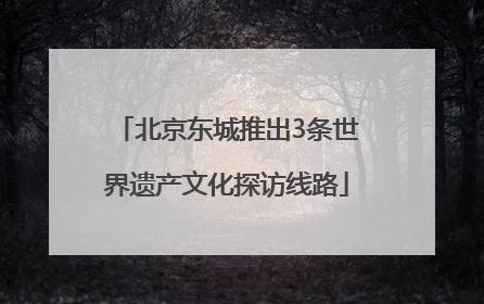 北京东城推出3条世界遗产文化探访线路