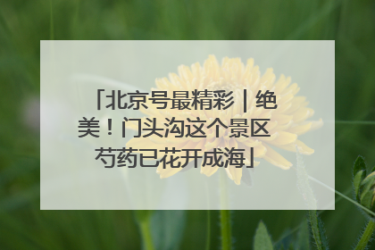 北京号最精彩｜绝美！门头沟这个景区芍药已花开成海