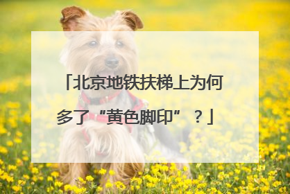 北京地铁扶梯上为何多了“黄色脚印”？