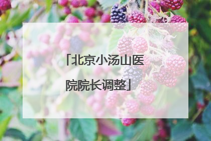 北京小汤山医院院长调整