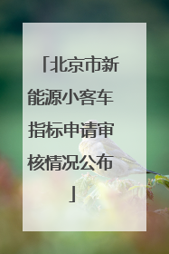 北京市新能源小客车指标申请审核情况公布
