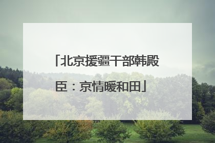 北京援疆干部韩殿臣：京情暖和田