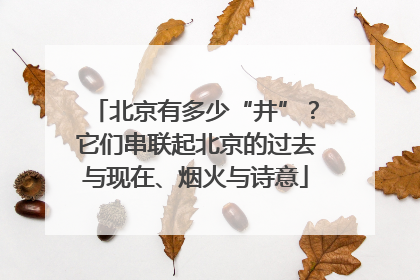 北京有多少“井”？它们串联起北京的过去与现在、烟火与诗意