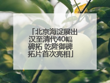 北京海淀展出汉至清代40幅碑拓 乾隆御碑拓片首次亮相