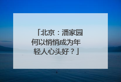 北京：潘家园何以悄悄成为年轻人心头好？