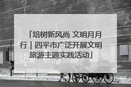 培树新风尚 文明月月行｜四平市广泛开展文明旅游主题实践活动