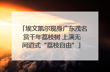 埃文凯尔现身广东茂名 赏千年荔枝树 上演无间道式“荔枝自由”