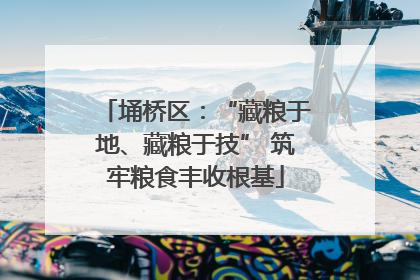 埇桥区：“藏粮于地、藏粮于技” 筑牢粮食丰收根基