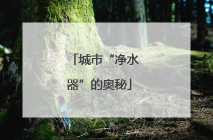 城市“净水器”的奥秘