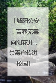 城阳公安：青春无毒向阳花开，禁毒宣传进校园