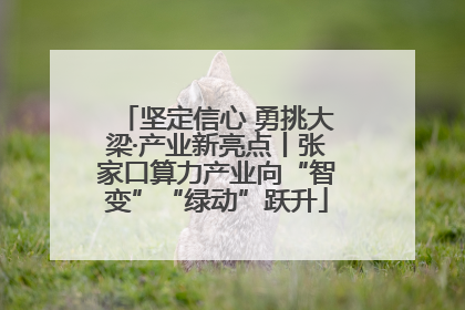 坚定信心 勇挑大梁·产业新亮点丨张家口算力产业向“智变”“绿动”跃升