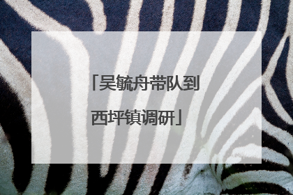 吴毓舟带队到西坪镇调研