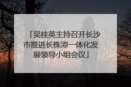 吴桂英主持召开长沙市推进长株潭一体化发展领导小组会议