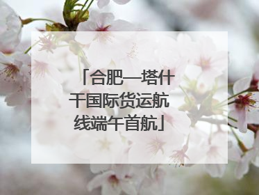 合肥—塔什干国际货运航线端午首航