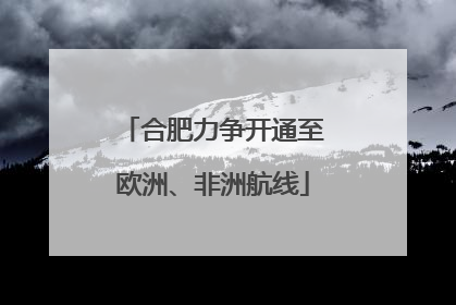 合肥力争开通至欧洲、非洲航线