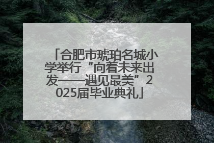 合肥市琥珀名城小学举行“向着未来出发——遇见最美”2025届毕业典礼