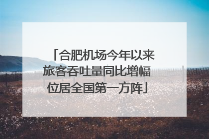 合肥机场今年以来旅客吞吐量同比增幅位居全国第一方阵