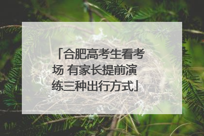 合肥高考生看考场 有家长提前演练三种出行方式