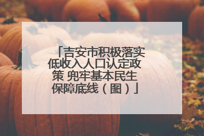 吉安市积极落实低收入人口认定政策 兜牢基本民生保障底线（图）