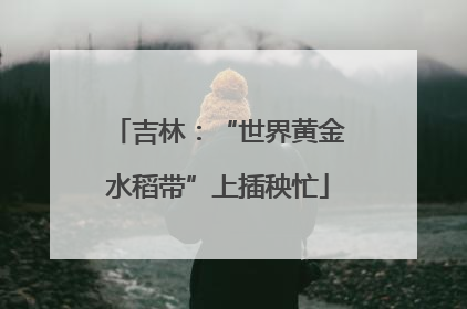 吉林：“世界黄金水稻带”上插秧忙