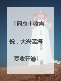 同享丰收喜悦，大兴瀛海麦收开镰