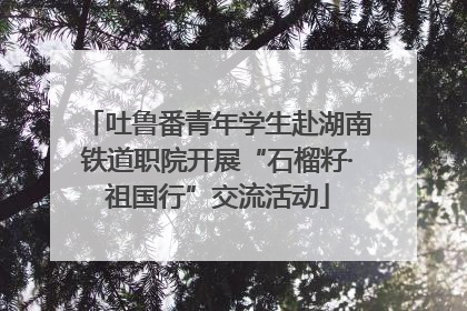 吐鲁番青年学生赴湖南铁道职院开展“石榴籽·祖国行”交流活动