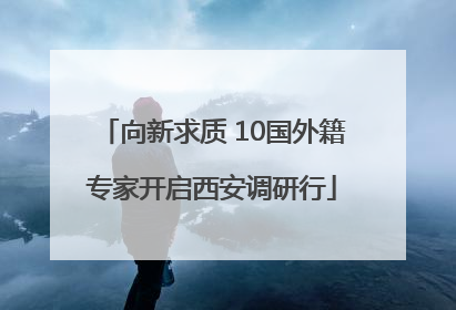 向新求质 10国外籍专家开启西安调研行