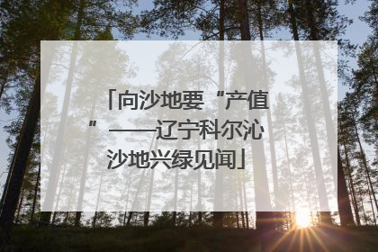向沙地要“产值”——辽宁科尔沁沙地兴绿见闻