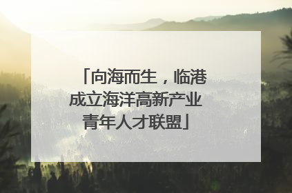 向海而生，临港成立海洋高新产业青年人才联盟