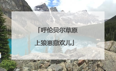 呼伦贝尔草原上狼崽撒欢儿