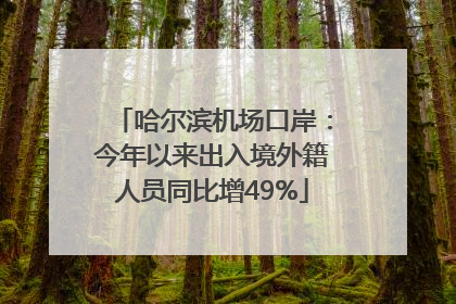 哈尔滨机场口岸：今年以来出入境外籍人员同比增49%