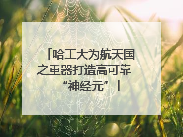 哈工大为航天国之重器打造高可靠“神经元”