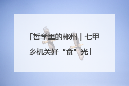 哲学里的郴州｜七甲乡机关好“食”光