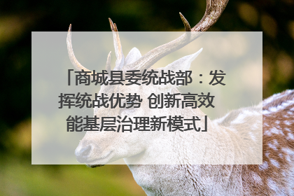 商城县委统战部：发挥统战优势 创新高效能基层治理新模式