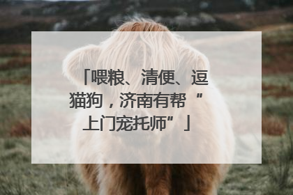 喂粮、清便、逗猫狗，济南有帮“上门宠托师”