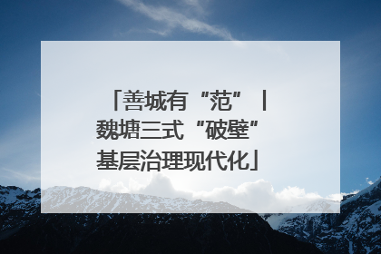 善城有“范”丨魏塘三式“破壁”基层治理现代化
