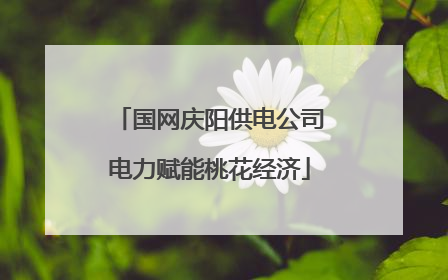 国网庆阳供电公司电力赋能桃花经济