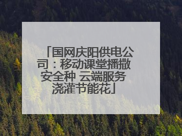 国网庆阳供电公司：移动课堂播撒安全种 云端服务浇灌节能花
