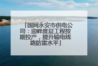 国网永安市供电公司：迎峰度夏工程按期投产，提升输电线路防雷水平