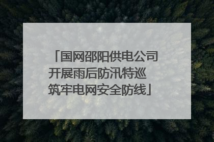 国网邵阳供电公司开展雨后防汛特巡 筑牢电网安全防线