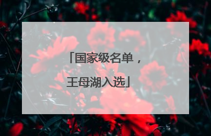 国家级名单，王母湖入选