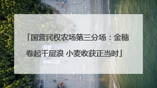 国营民权农场第三分场：金穗卷起千层浪 小麦收获正当时