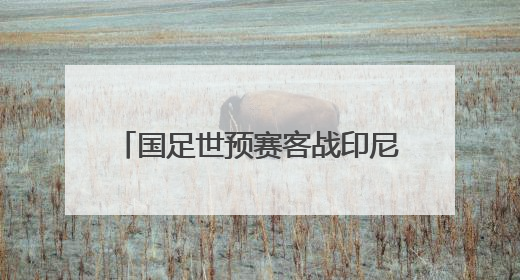 国足世预赛客战印尼25人大名单出炉