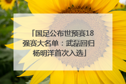 国足公布世预赛18强赛大名单：武磊回归 杨明洋首次入选